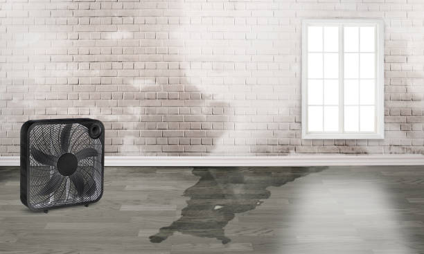 Best Water damage restoration near me  in Gordon, PA