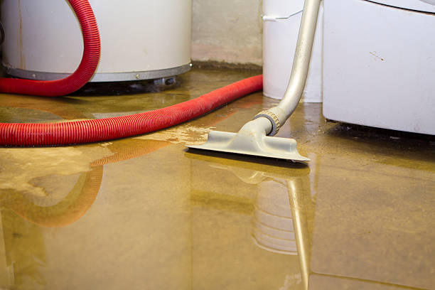 Best Basement water damage restoration  in Gordon, PA